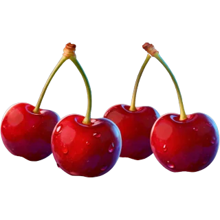 Cerises – Chicken Coin
