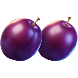 Prunes – Chicken Coin