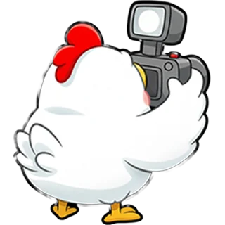 Poule caméra – Chicken Road Race