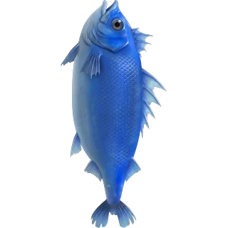 Poisson bleu â Ice Fish
