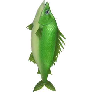 Poisson vert â Ice Fish