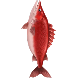 Poisson rouge â Ice Fish